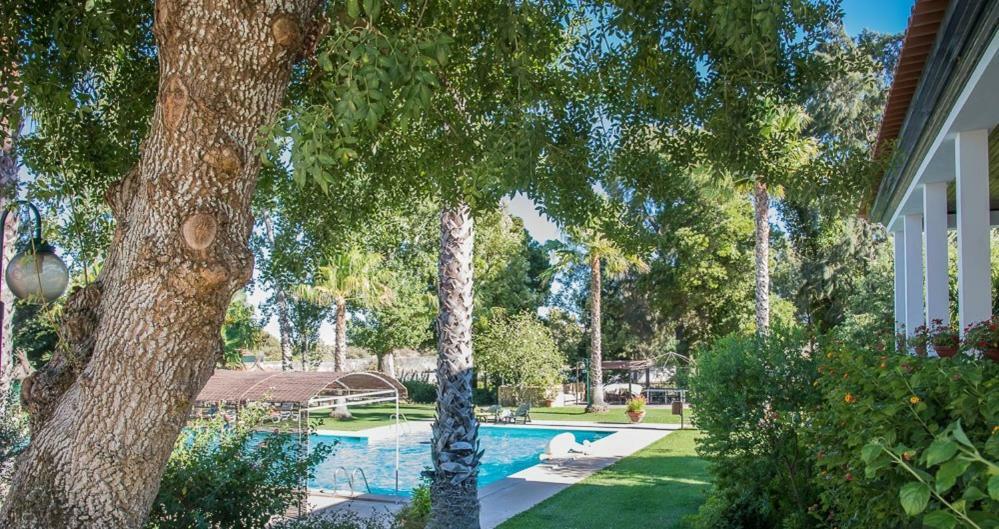 Quinta Do Cerrado Setubal Guest House Eksteriør bilde