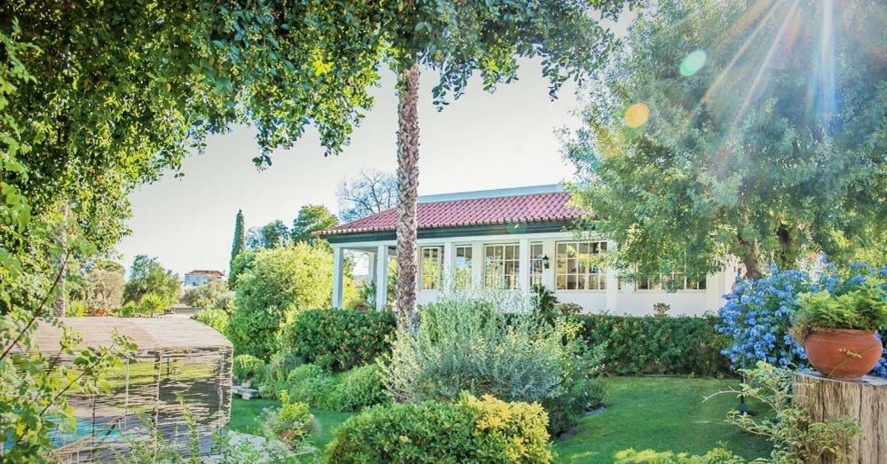 Quinta Do Cerrado Setubal Guest House Eksteriør bilde